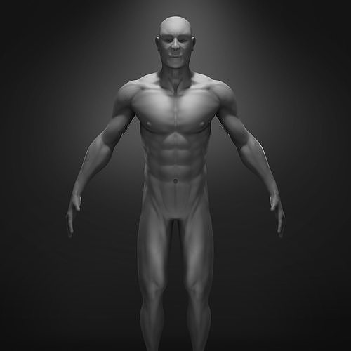 Anatomy male body 3D model