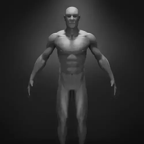 Anatomy male body 3D model