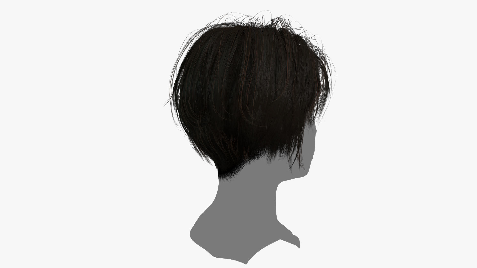 Female Hair - 001 3D model_4
