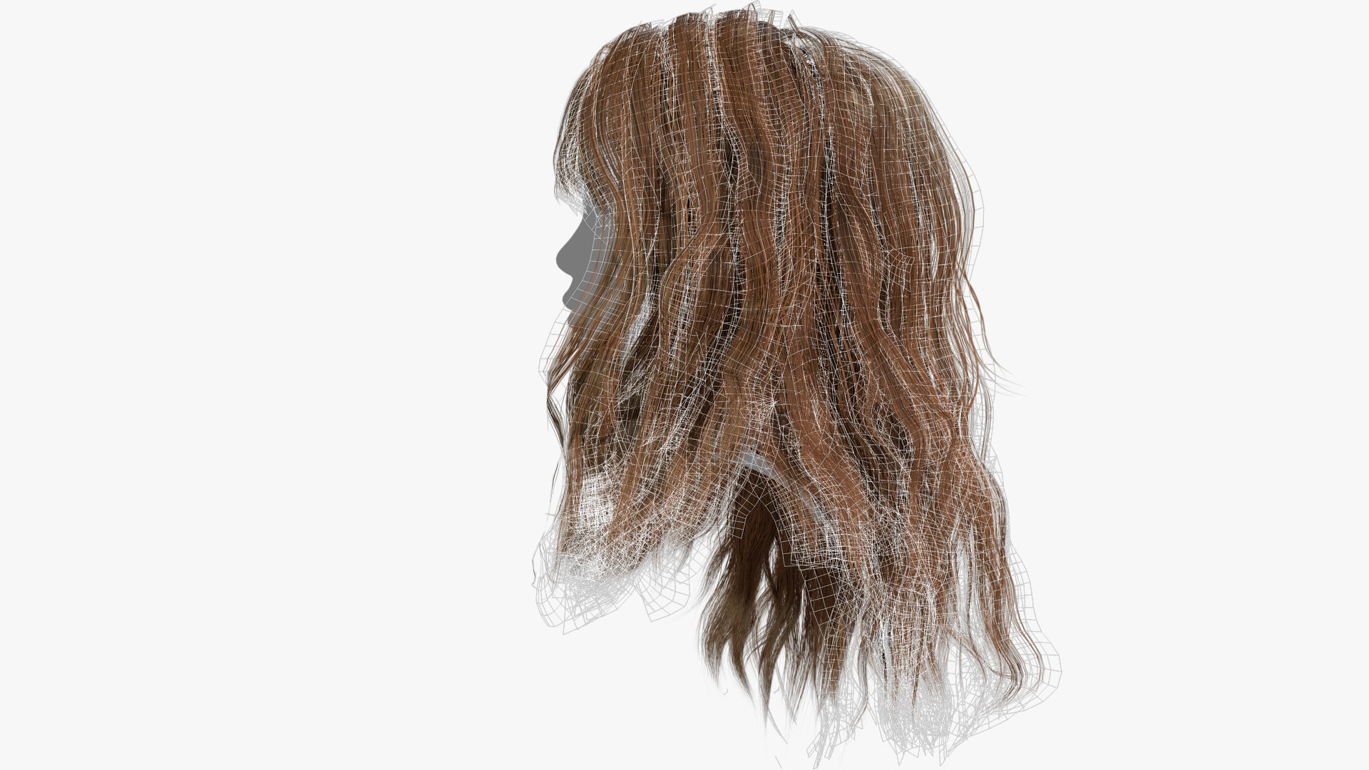 Female Hair - 002 3D model_15
