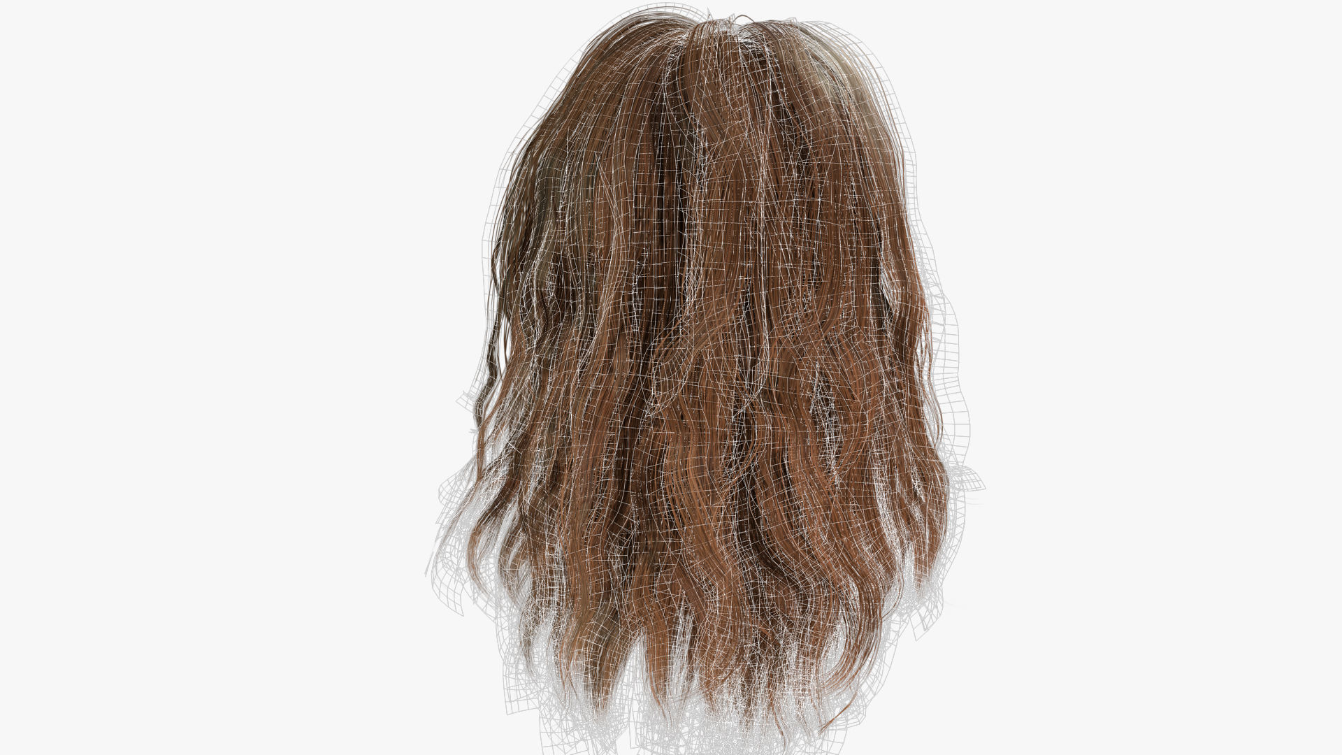 Female Hair - 002 3D model_14