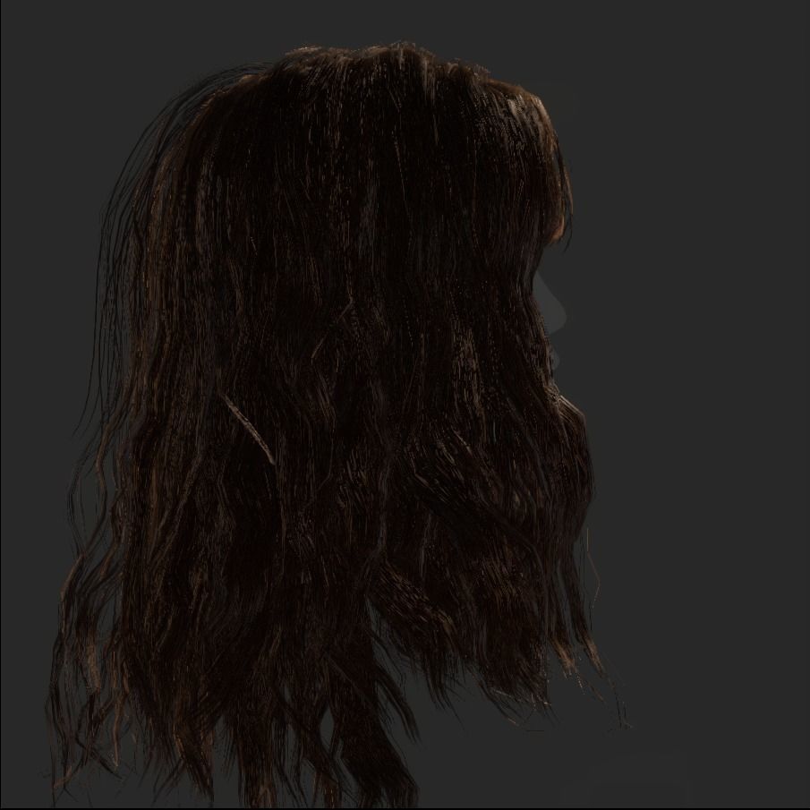 Female Hair - 002 3D model_18