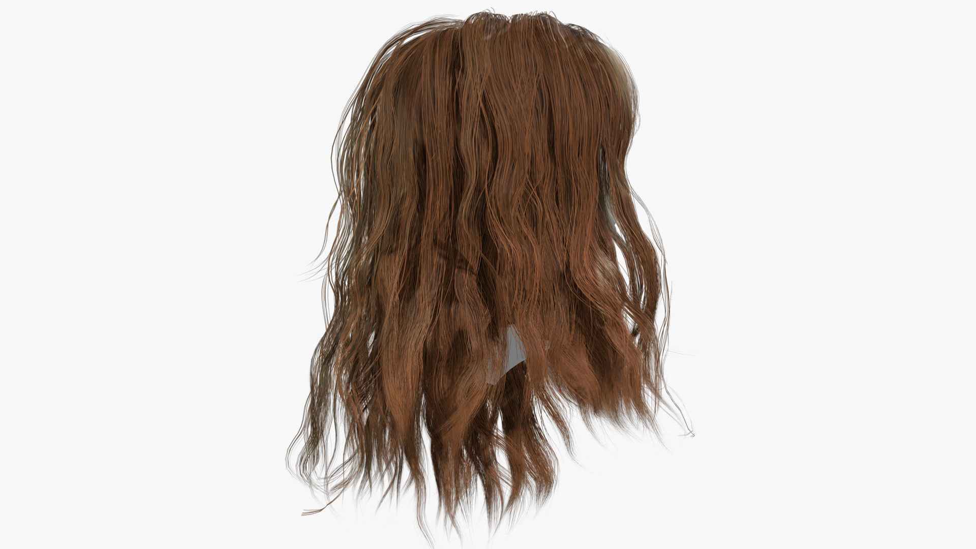 Female Hair - 002 3D model_3