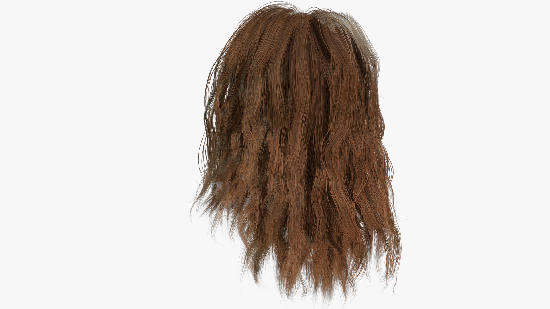 Female Hair - 002 3D model_4