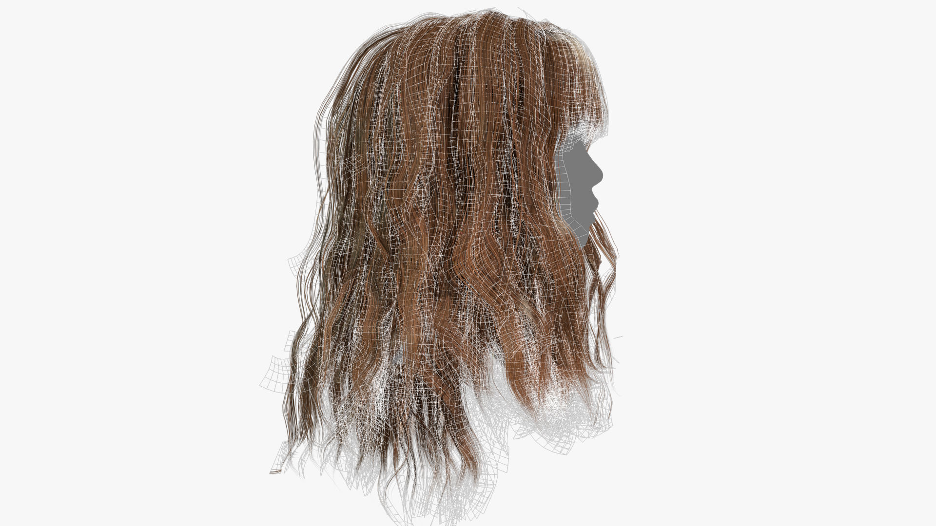 Female Hair - 002 3D model_13