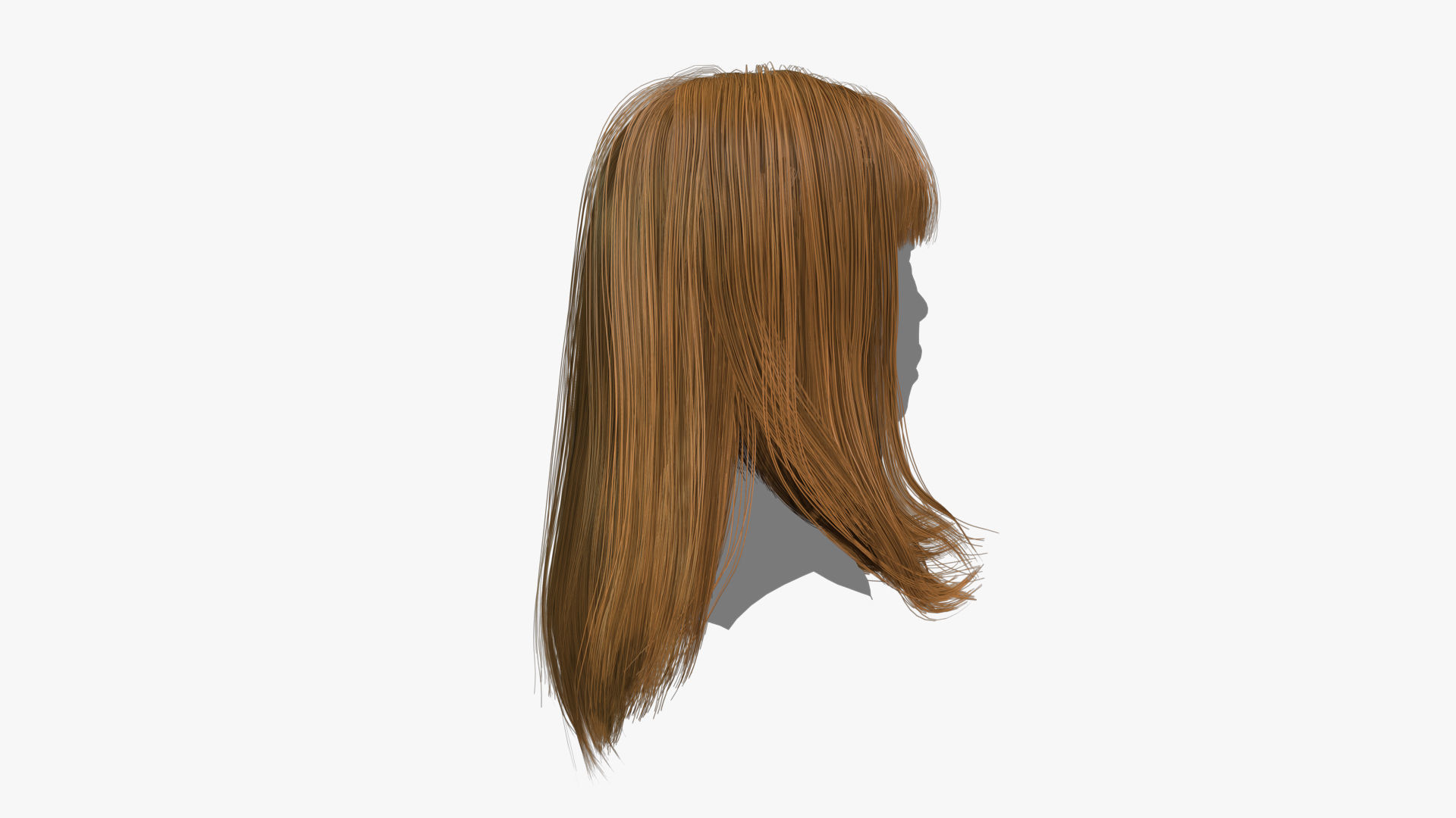 Female Hair - 003 3D model_3