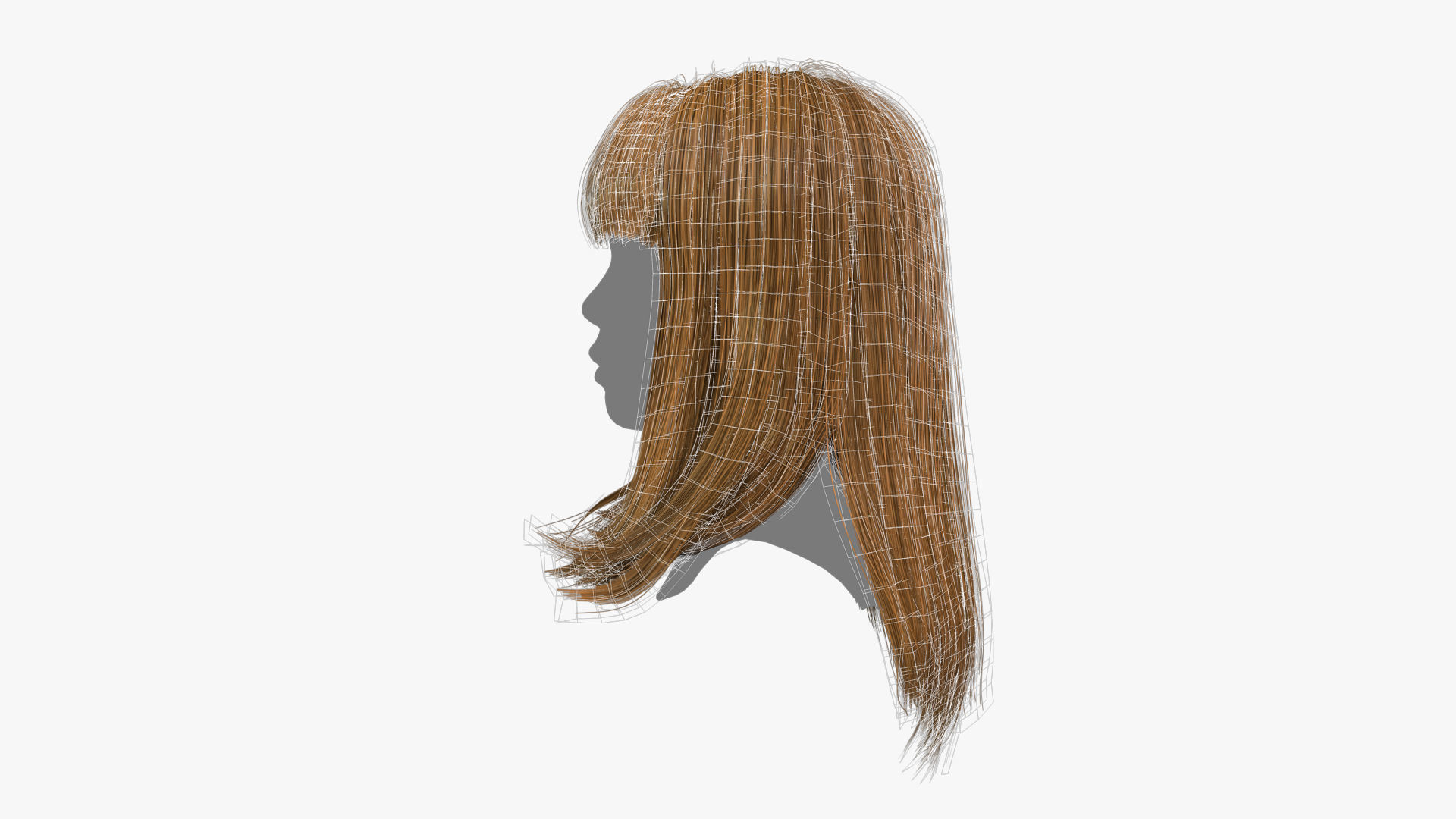 Female Hair - 003 3D model_15