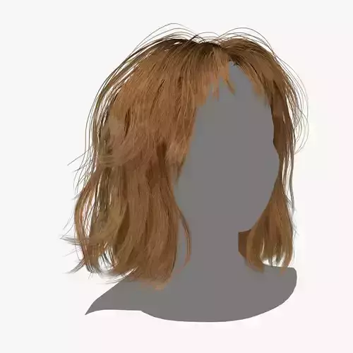 Female Hair - 004