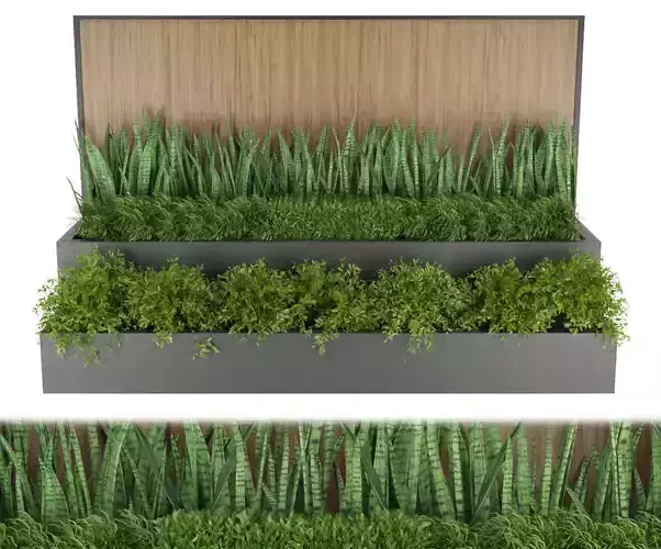 Collection plant vol 198 3D model