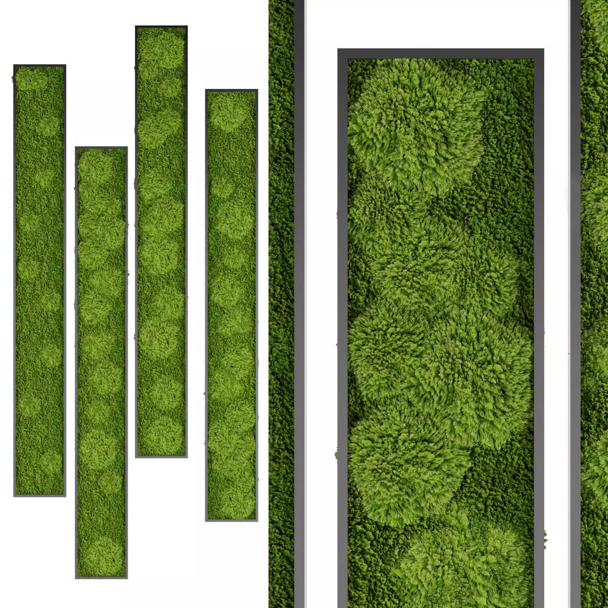 Collection plant vol 201 3D model_0