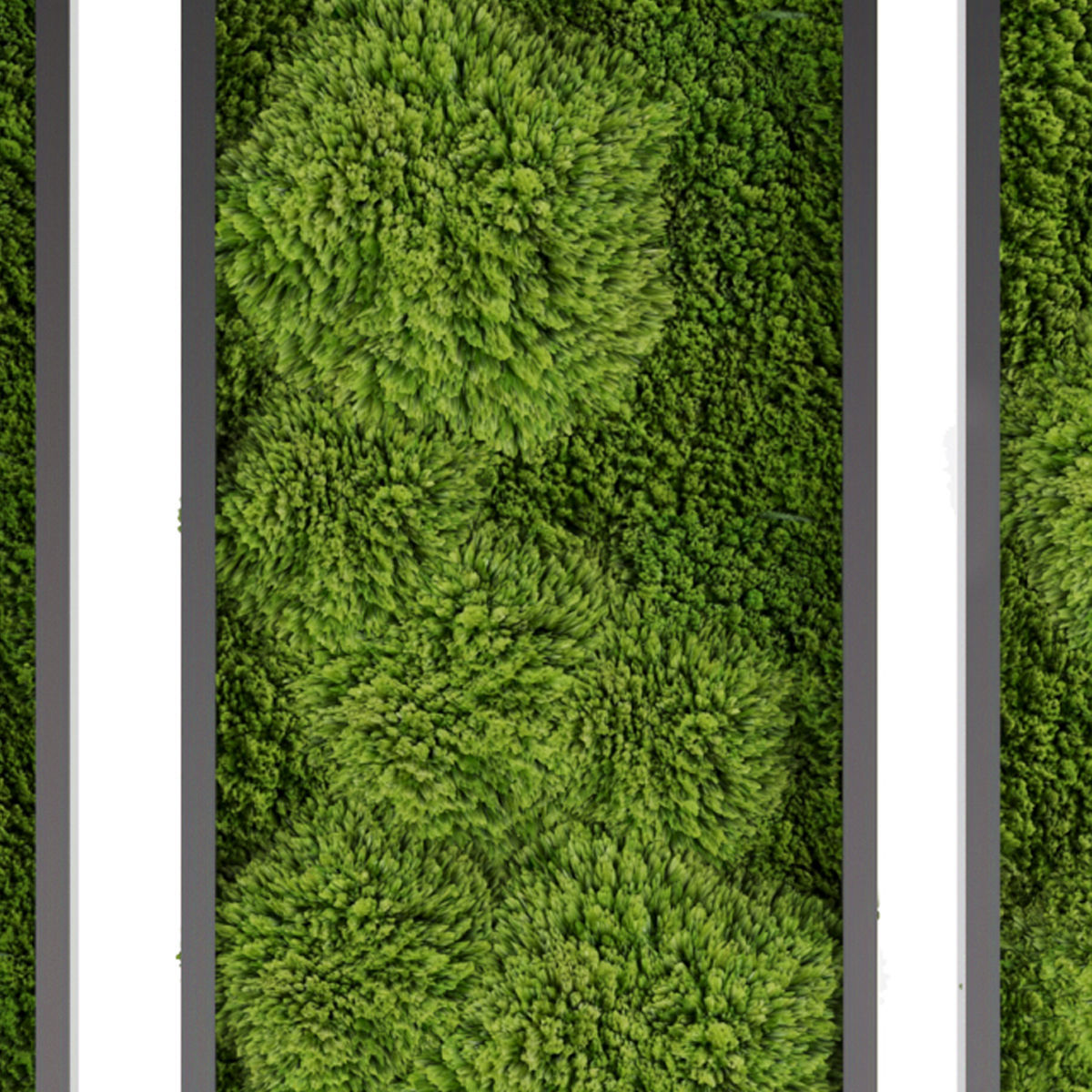 Collection plant vol 201 3D model_1