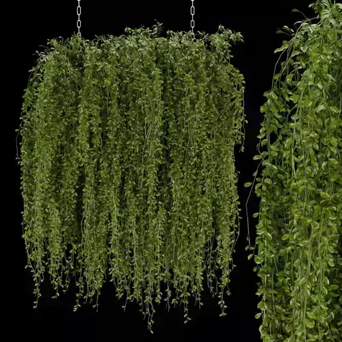 Collection plant vol 202 3D model