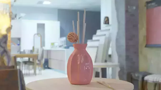 Vase and sticks