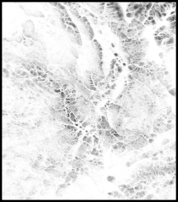 Austria High resolution 9k cavity map Texture_5