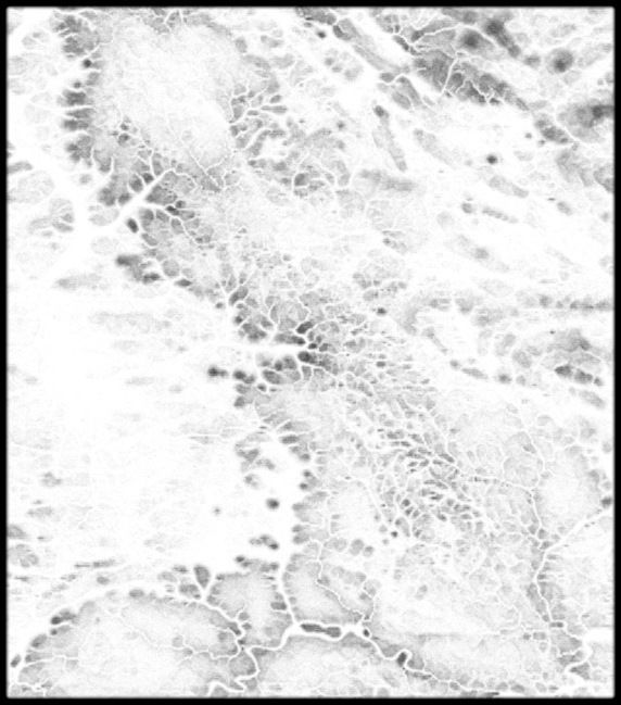 Austria High resolution 9k cavity map Texture_2