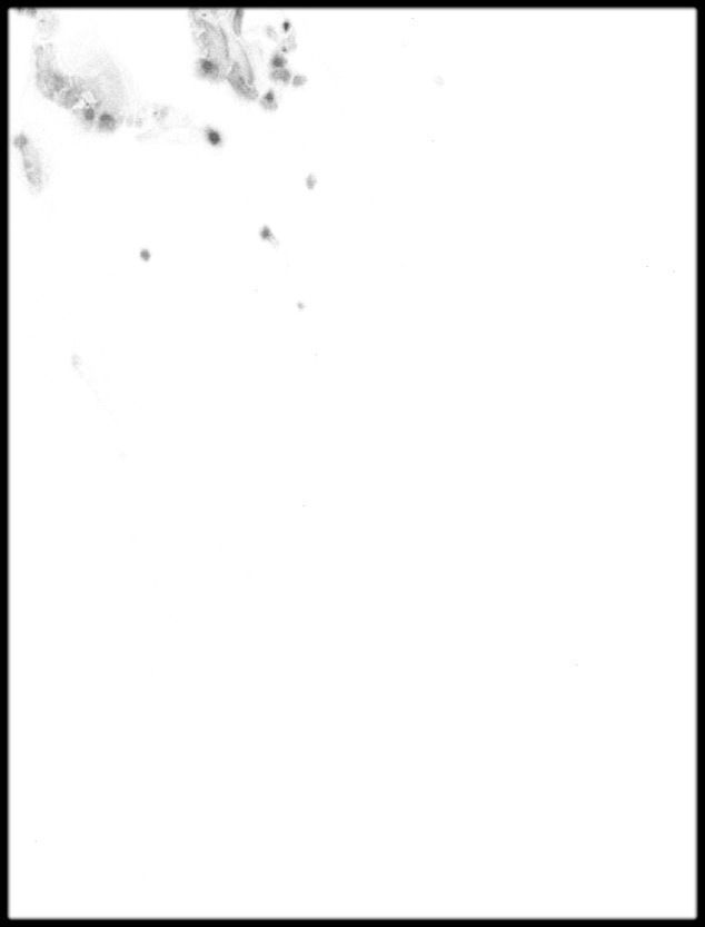 Azerbaijan High resolution 8k cavity map Texture_1