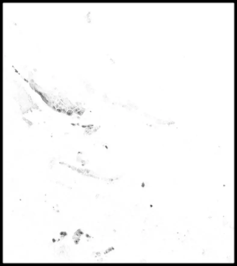 Bahamas High resolution 11k cavity map Texture_0