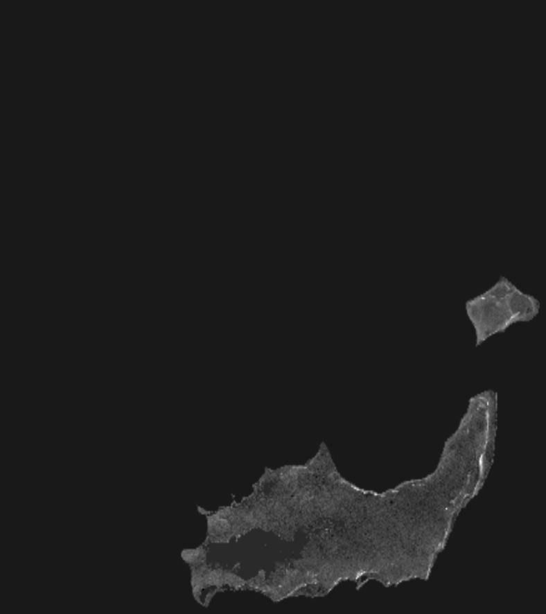 Bahamas High resolution 11k displacement heightmap and geometry Texture_1