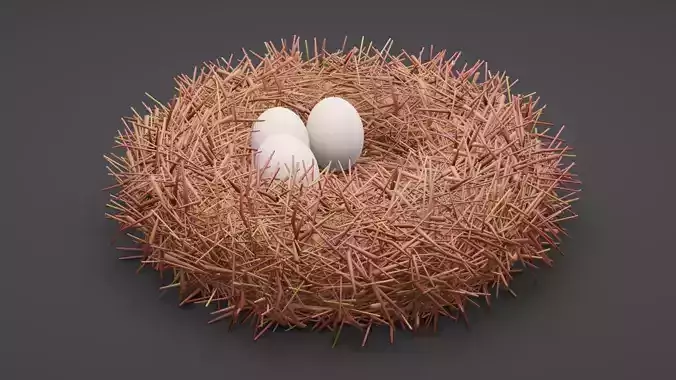Bird Nest Free 3D model