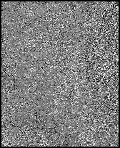 Gabon High resolution 12k curvature map Texture