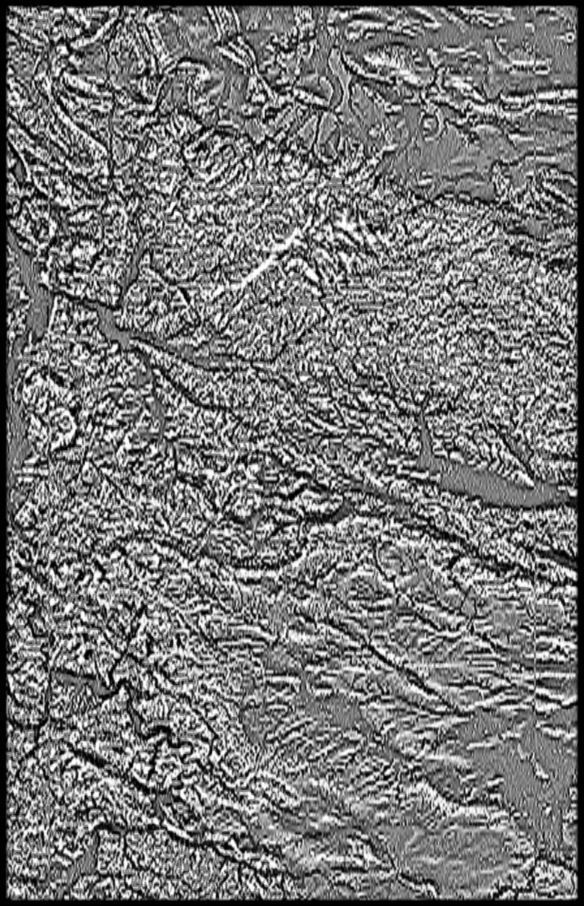 Germany High resolution 14k curvature map Texture_3