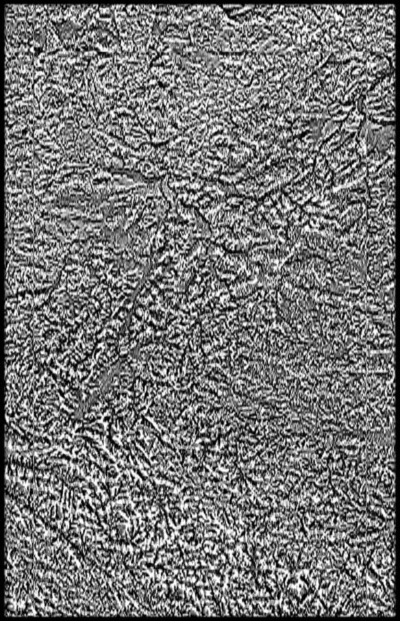 Germany High resolution 14k curvature map Texture_2