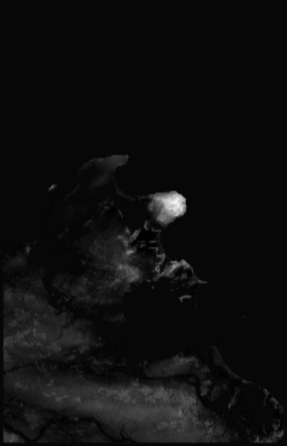 Germany High resolution 14k displacement heightmap and geometry Texture_4