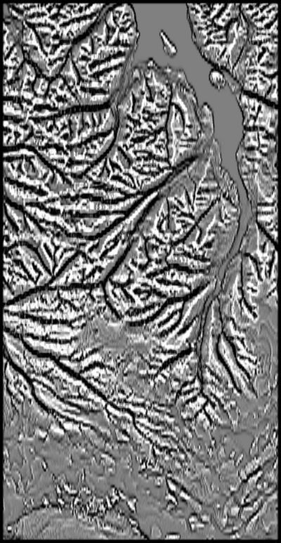 Iceland High resolution 8k curvature map Texture_3