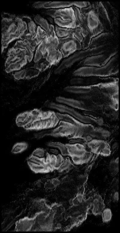 Iceland High resolution 8k thickness map Texture_0