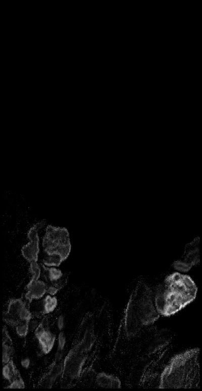 Iceland High resolution 8k thickness map Texture_4