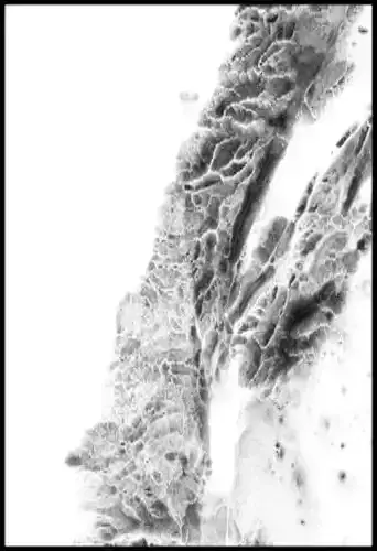 Lebanon High resolution 3k cavity map