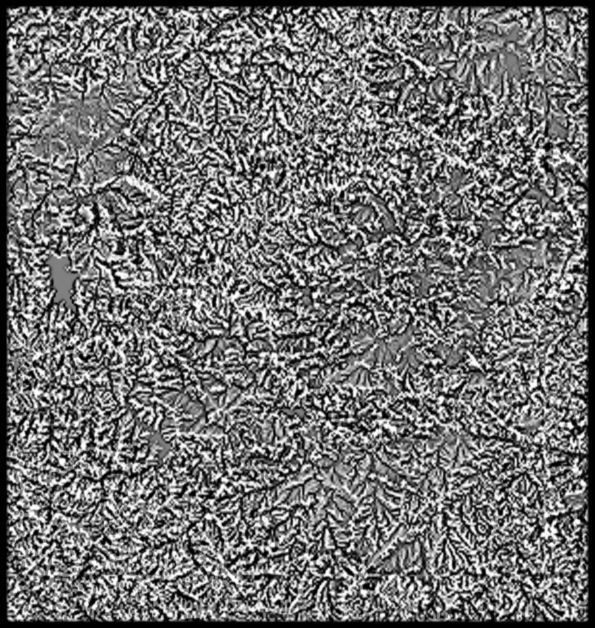 Lesotho High resolution 4k curvature map Texture_3