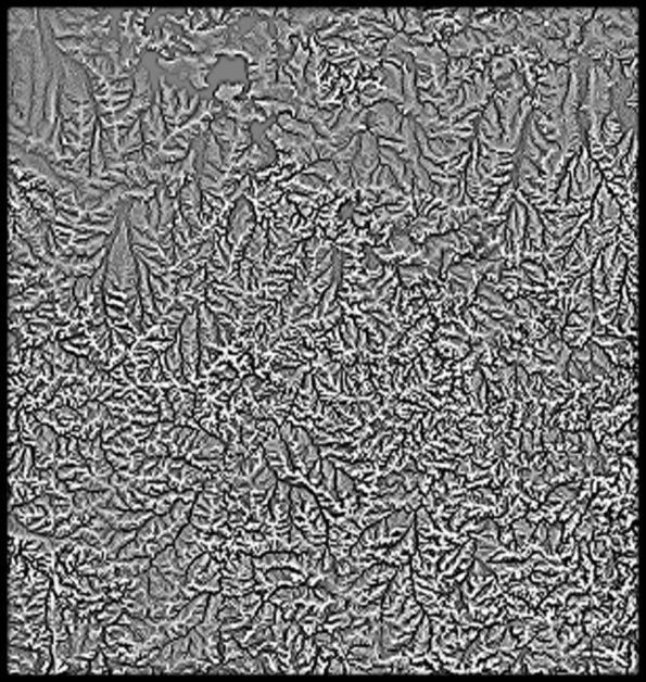 Lesotho High resolution 4k curvature map Texture_4