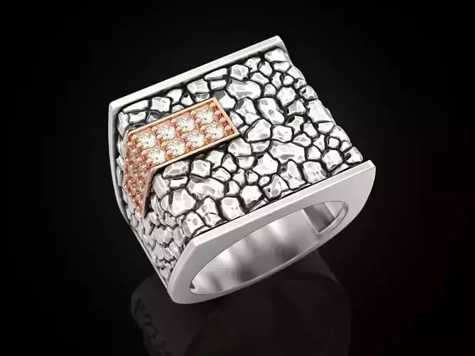 Ring pebbles 3D print model