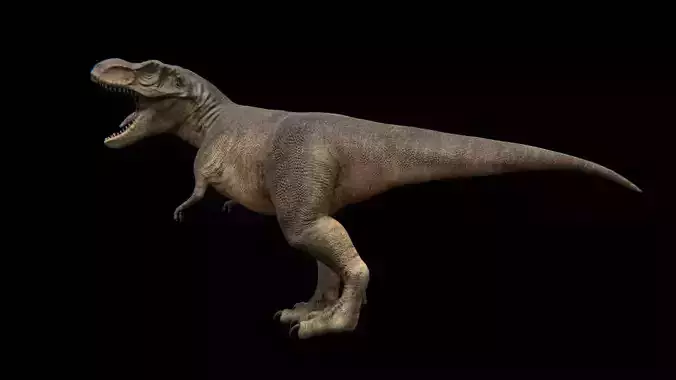 Tyrannosaurus Rex - Theropod Dinosaur Low-poly 3D model