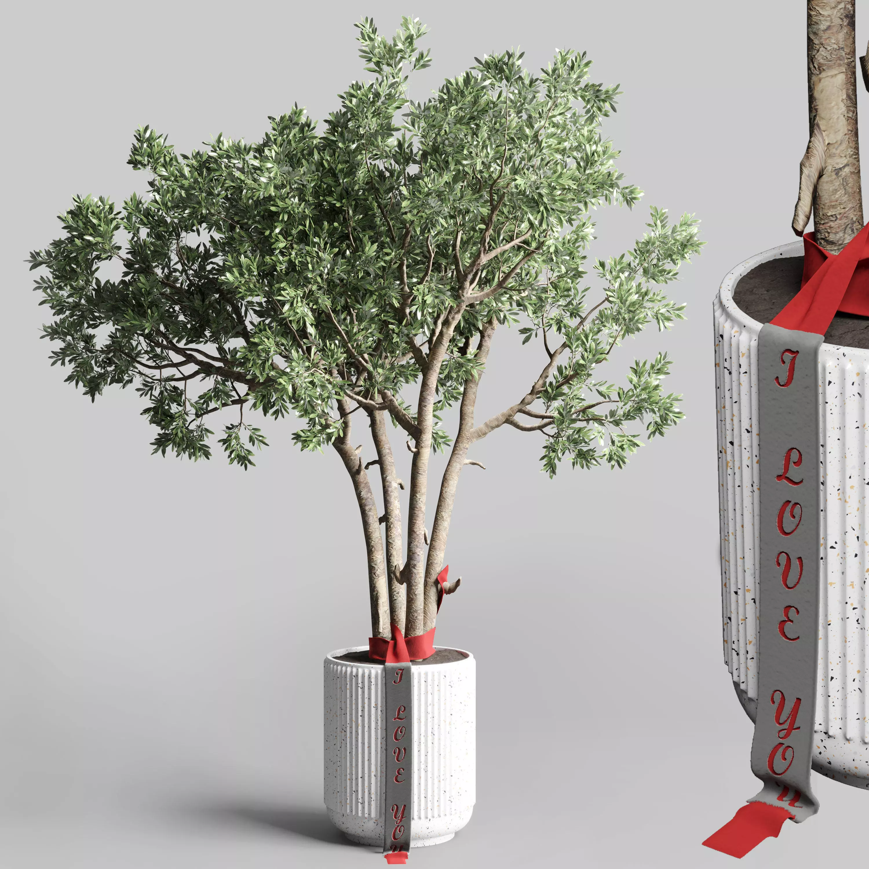 Indoor outdoor plant 111 pot friendship-love tree concrete vase 3D model
