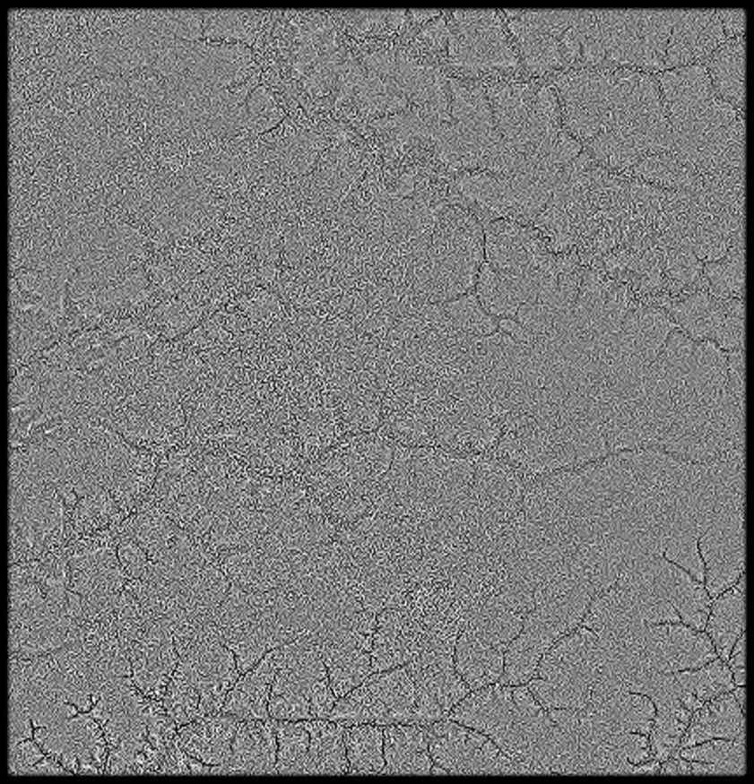 Senegal High resolution 11k curvature map Texture_2