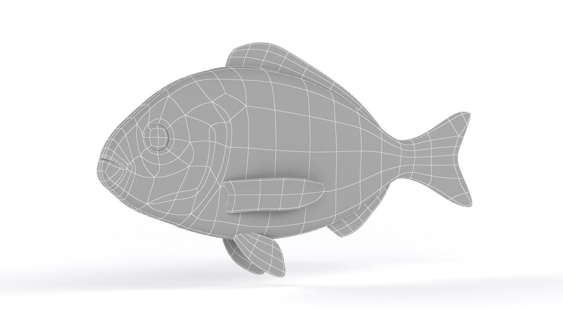 Dorado Fish 3D model_9