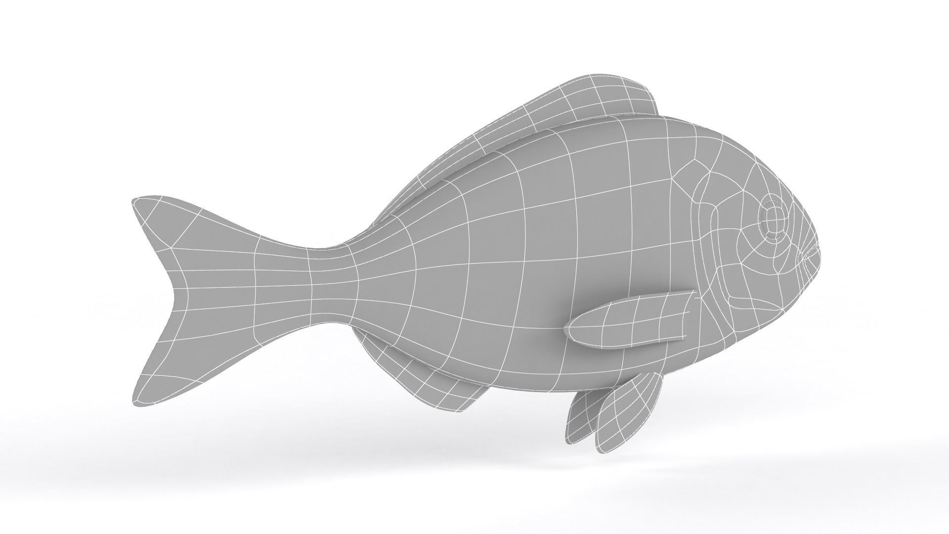 Dorado Fish 3D model_8
