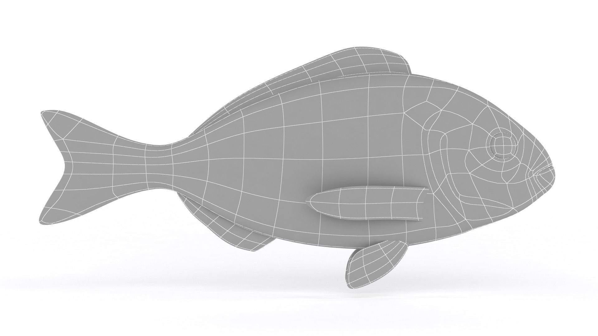Dorado Fish 3D model_5