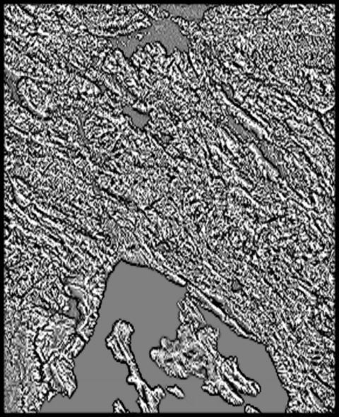 Slovenia High resolution 3k curvature map Texture_1