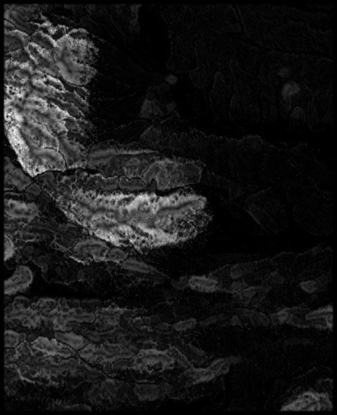 Slovenia High resolution 3k thickness map Texture_3