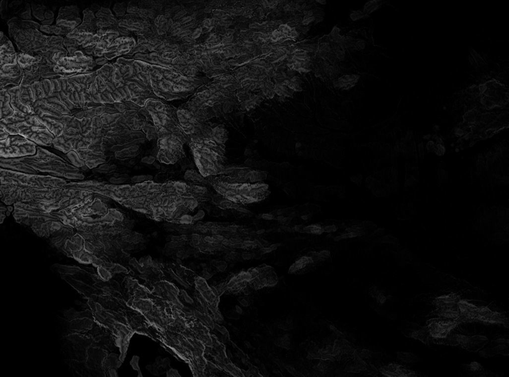 Slovenia High resolution 3k thickness map Texture_5