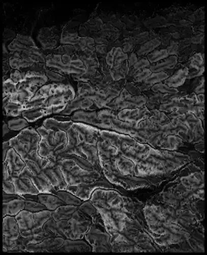 Slovenia High resolution 3k thickness map Texture