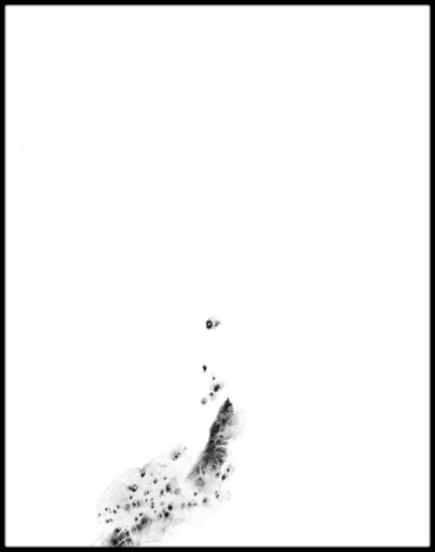 Spain High resolution 34k cavity map Texture_2