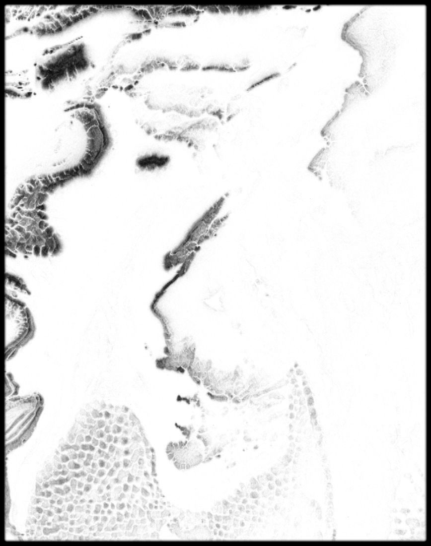 Spain High resolution 34k cavity map Texture_3