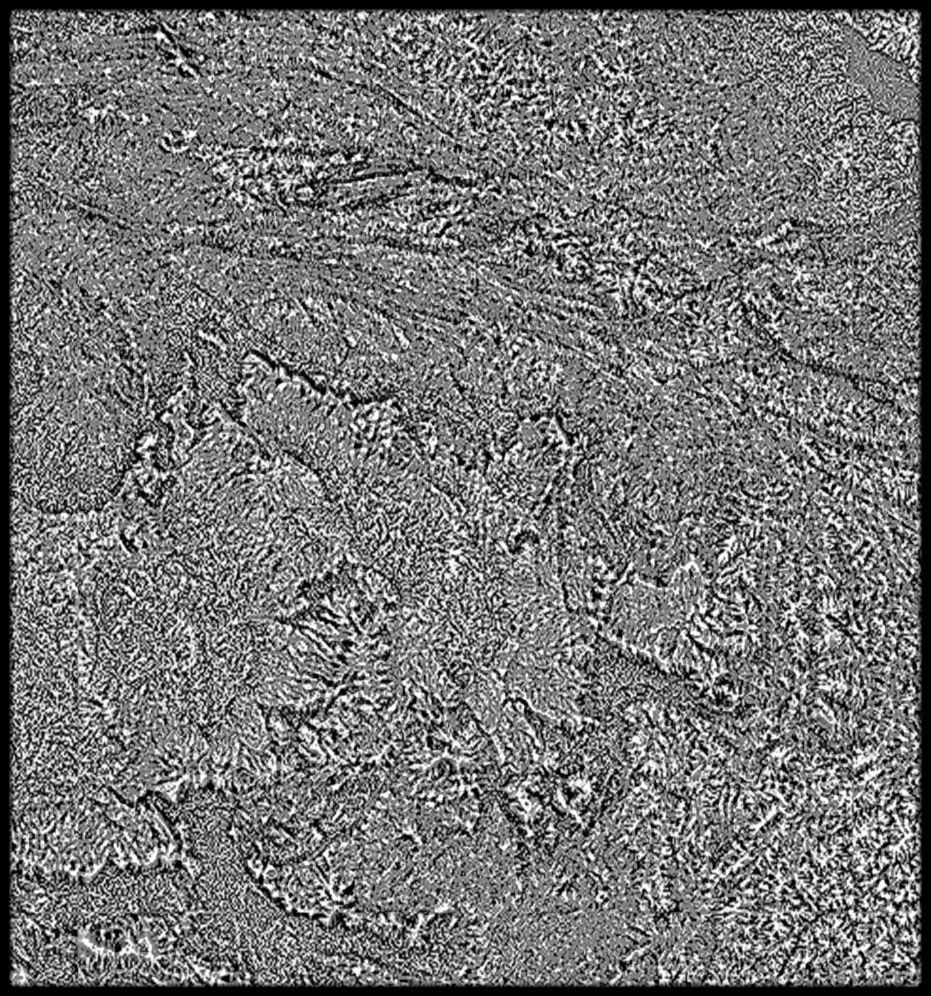 VietNam High resolution 27k curvature map Texture_3