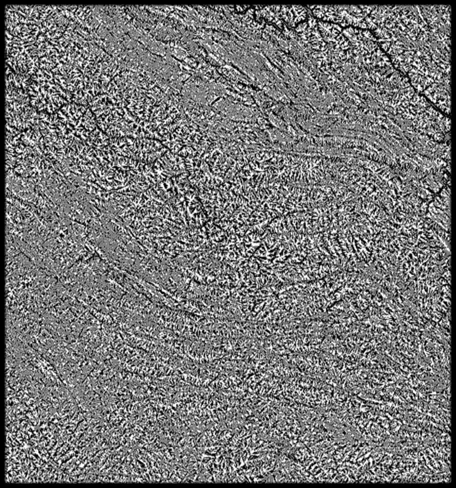 VietNam High resolution 27k curvature map Texture_4