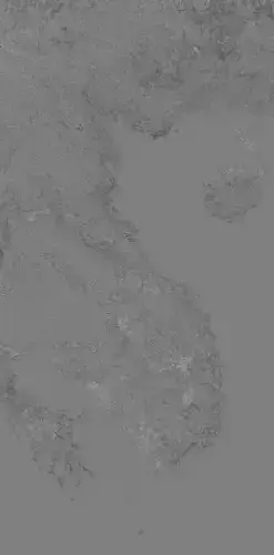 VietNam High resolution 27k curvature map