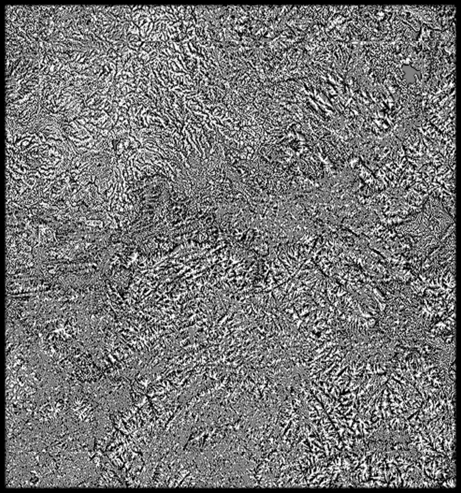 VietNam High resolution 27k curvature map Texture_2